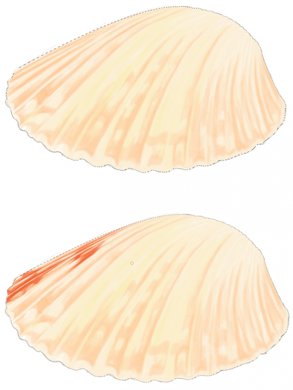 Creation of Outside Beauty : Step 8